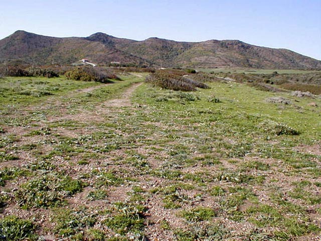 Zona Interna di Sant'Antioco